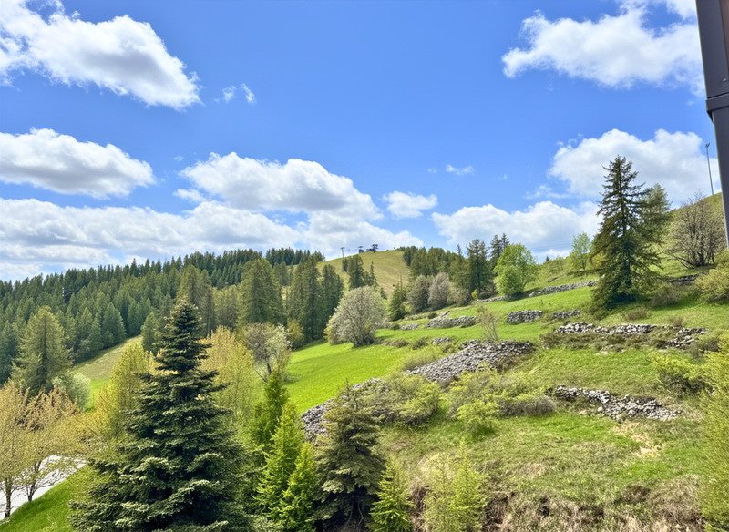 Appartement à vendre, 37m², Péone (Valberg)