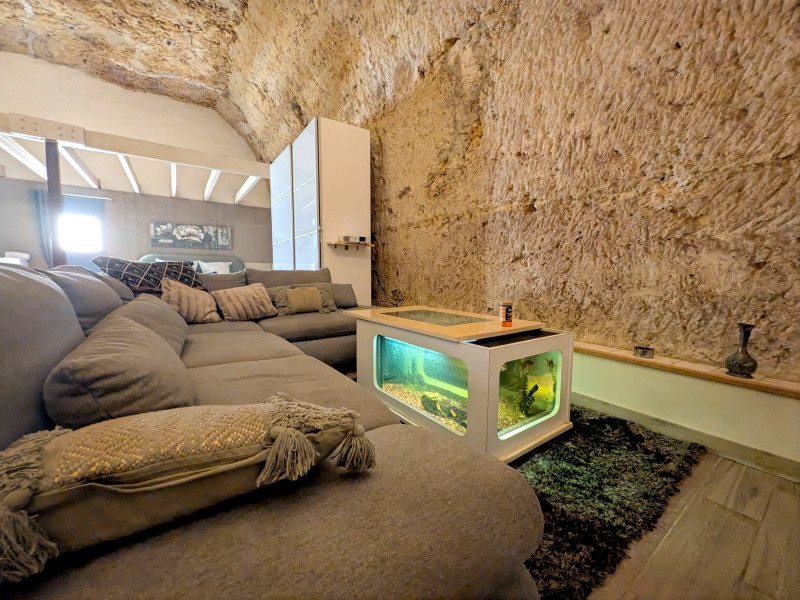 Maison à vendre, 500m², Amboise