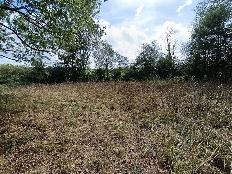 Maison à vendre, 180m², Saint-Vigor-des-Monts