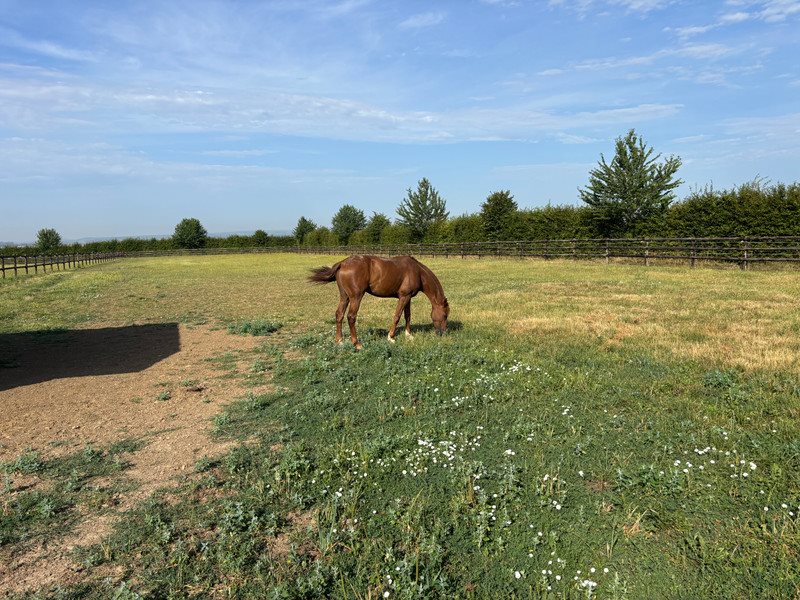 Maison à vendre, 400m², Rouessé-Fontaine