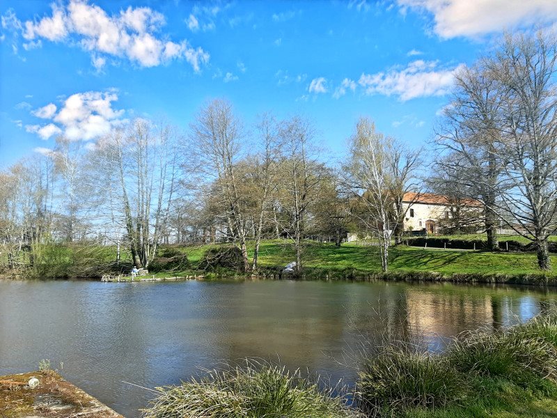 Maison à vendre, 744m², Les Salles-Lavauguyon