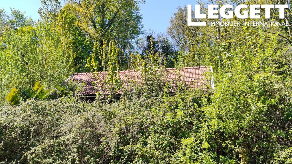 Maison à vendre, 55m², Willeman