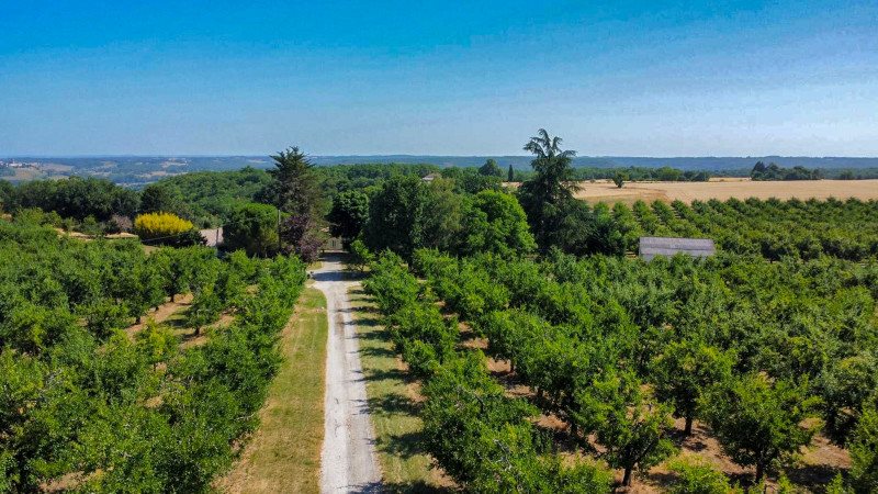Maison à vendre, 370m², Tournon-d'Agenais