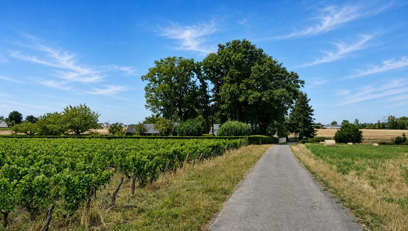 Maison à vendre, 244m², Parçay-Meslay