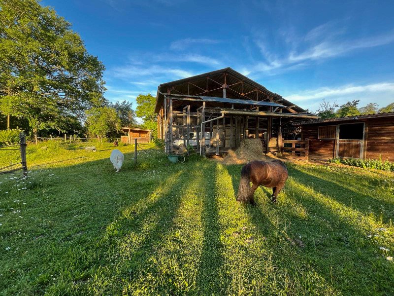 Maison à vendre, 150m², Campagne-d'Armagnac