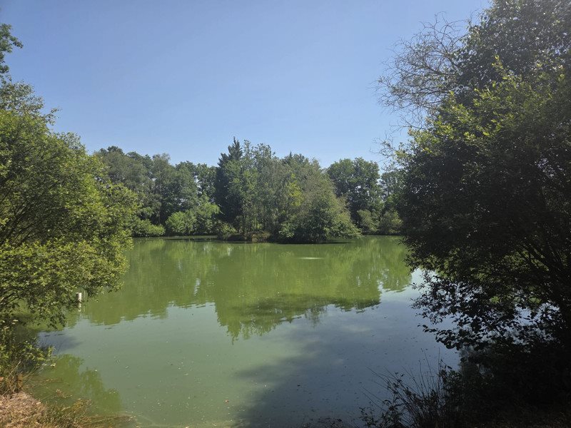 Maison à vendre, 112m², Armaillé