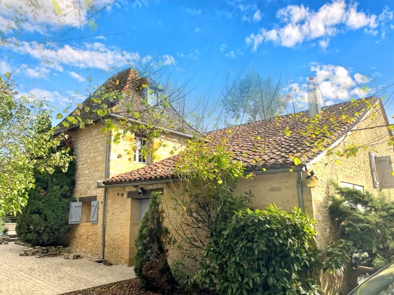 Maison à vendre, 215m², Saint-Avit-Sénieur