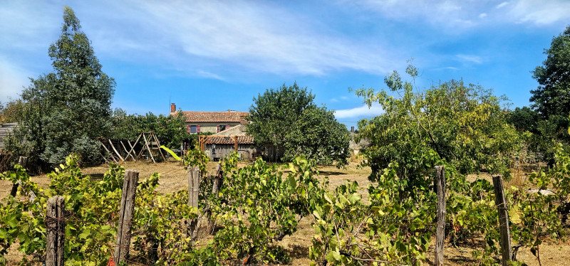 Maison à vendre, 147m², Maillezais
