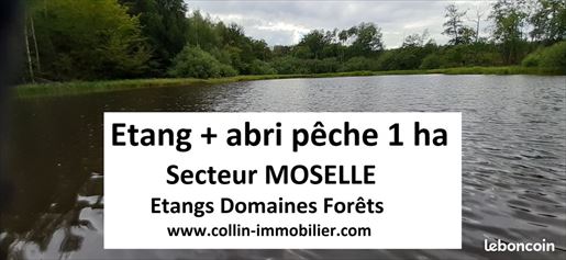 Advert pic 0