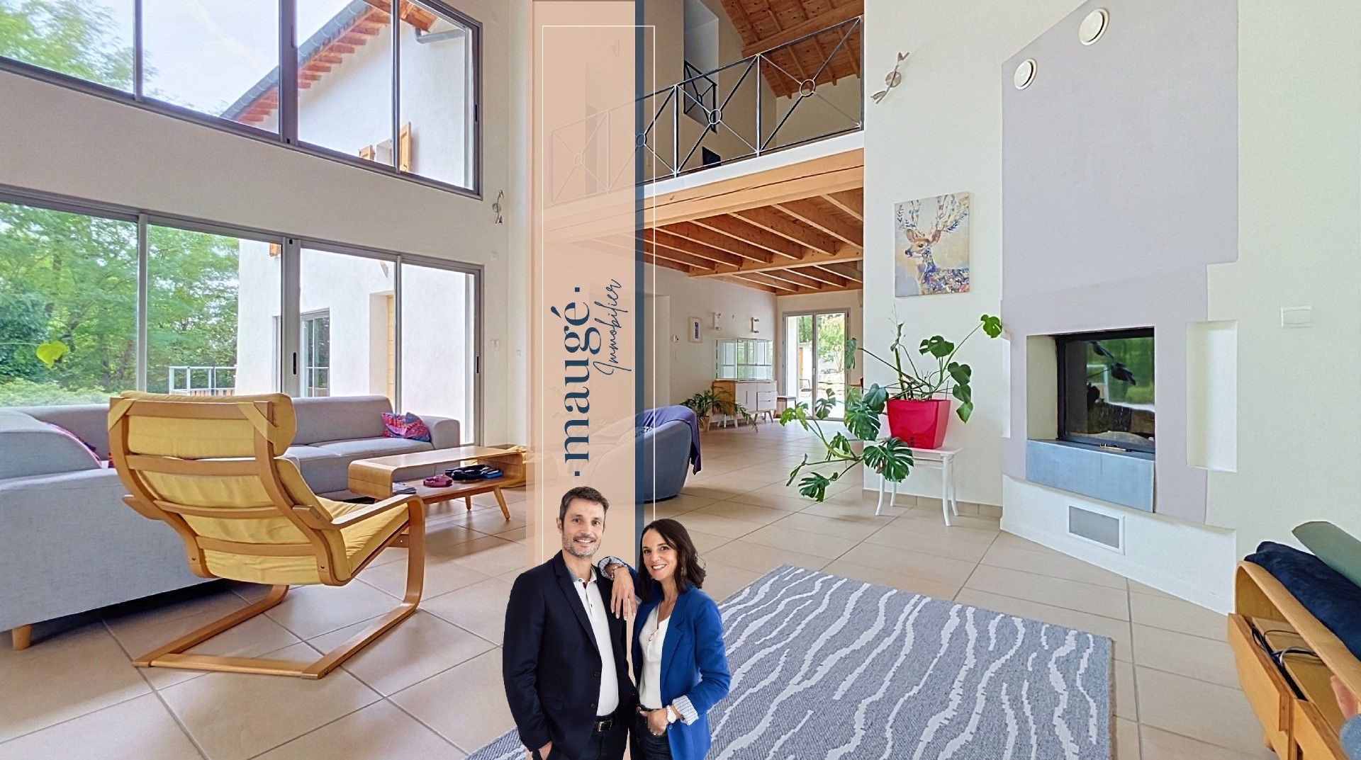 Maison à vendre, 325m², Luzinay