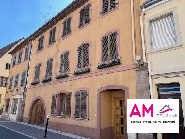 Maison à vendre, 346m², Soultz-Haut-Rhin