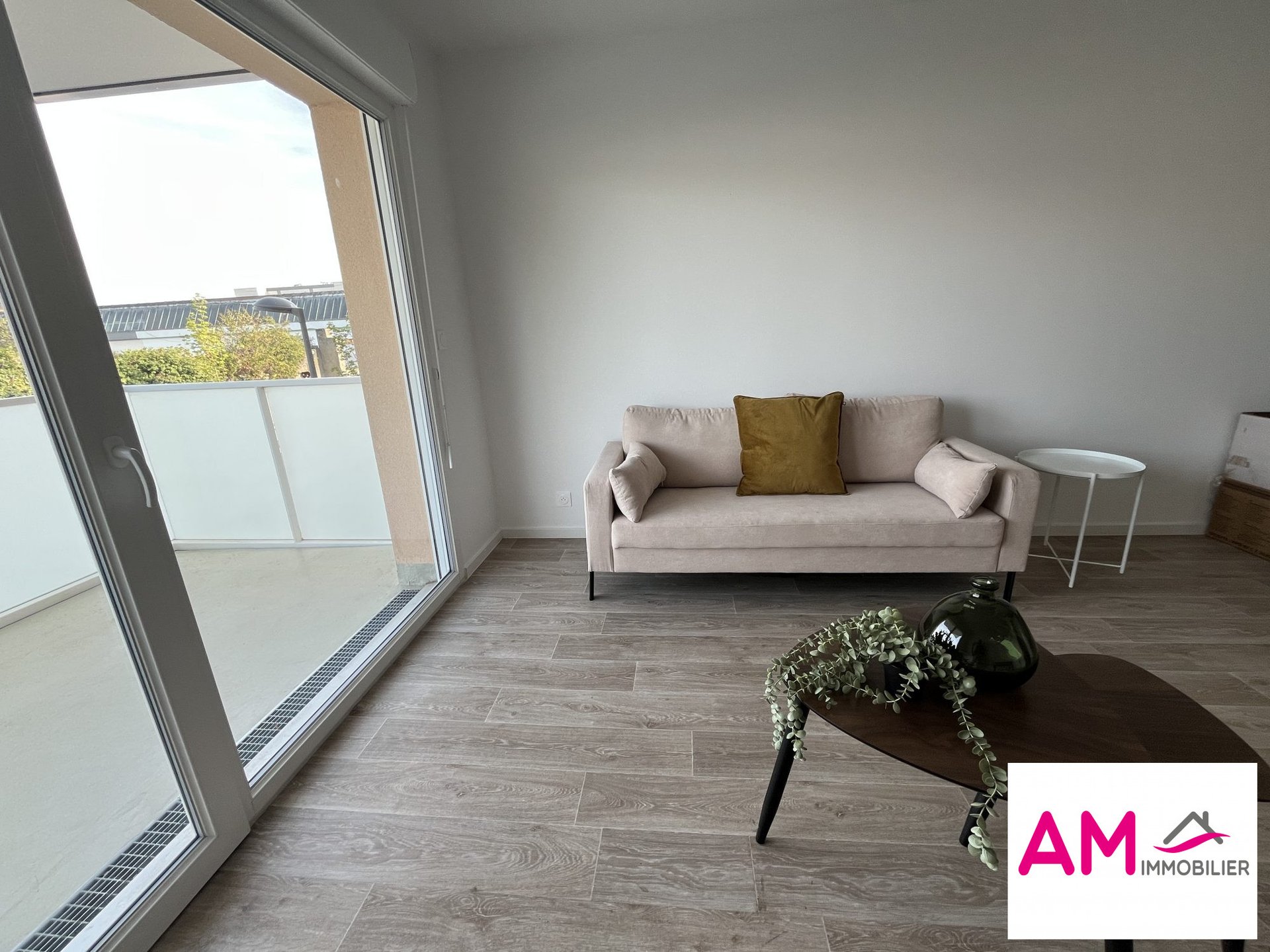 Appartement à louer, 38m², Mulhouse