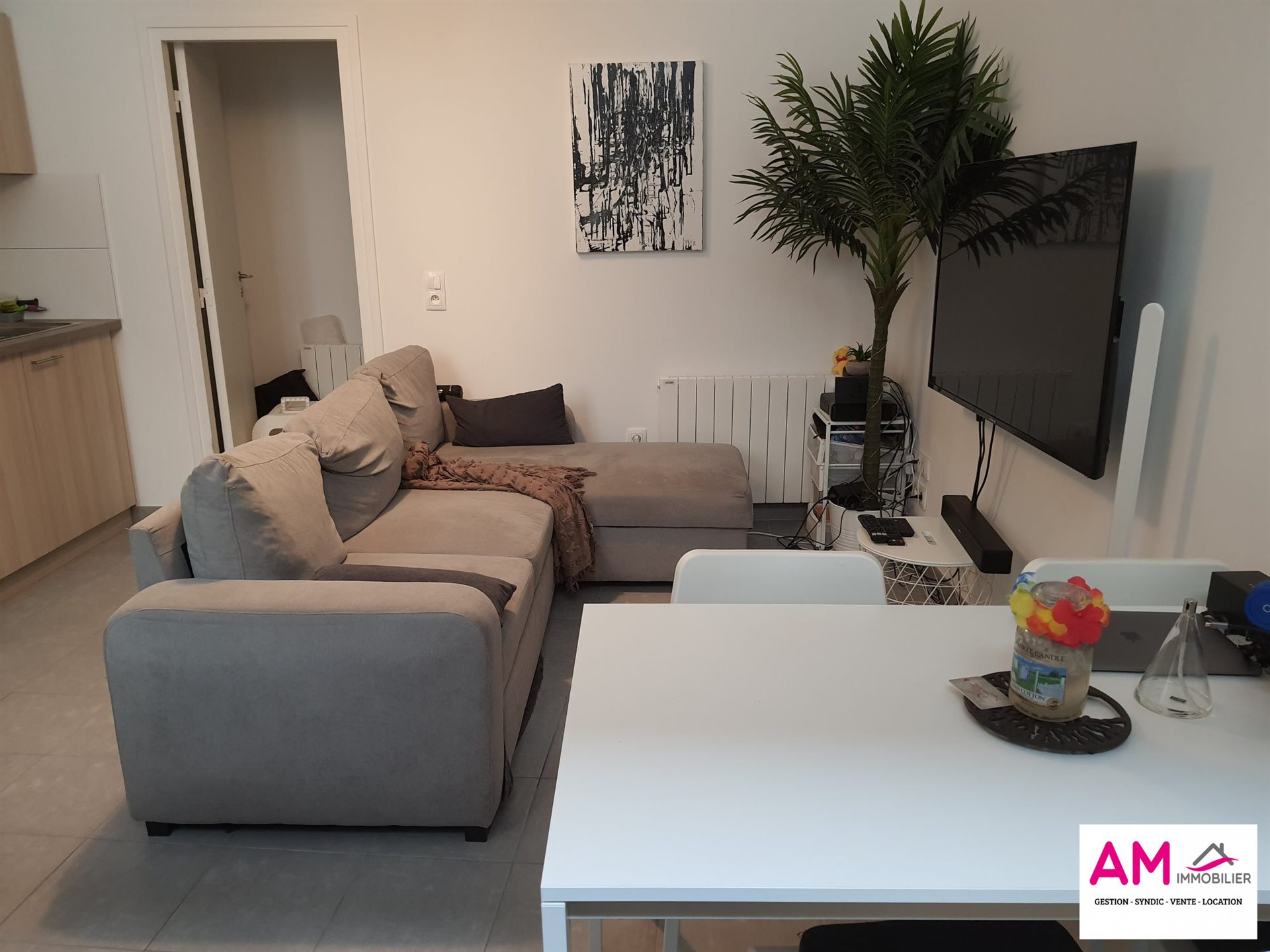 Appartement à louer, 32m², Colmar