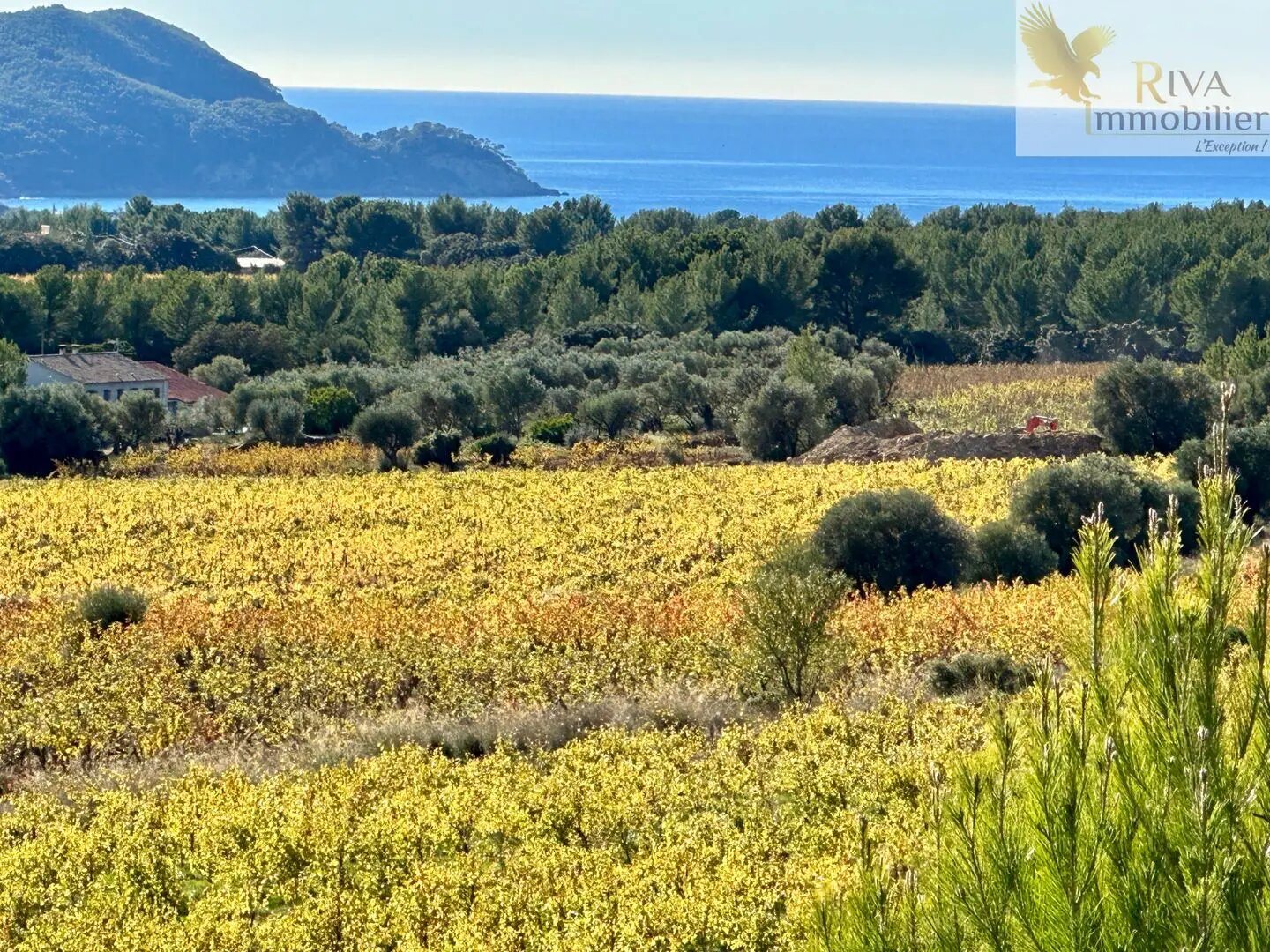 Maison à vendre, 350m², La Cadière-d'Azur