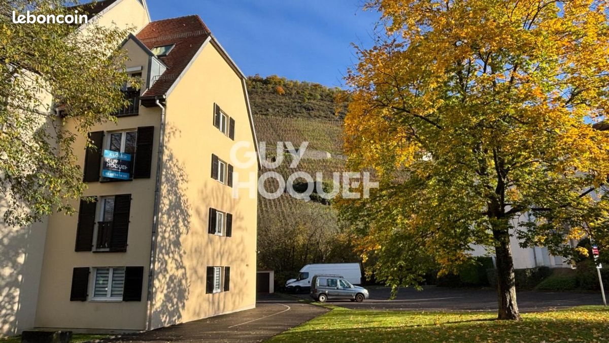 Appartement à louer, 42m², Thann