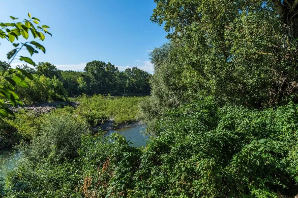 Maison à vendre, 243m², Roques