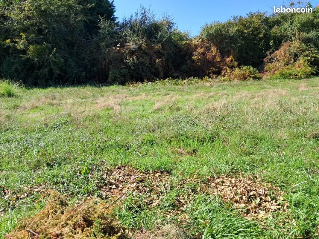 Maison à vendre, 120m², Carignan-de-Bordeaux