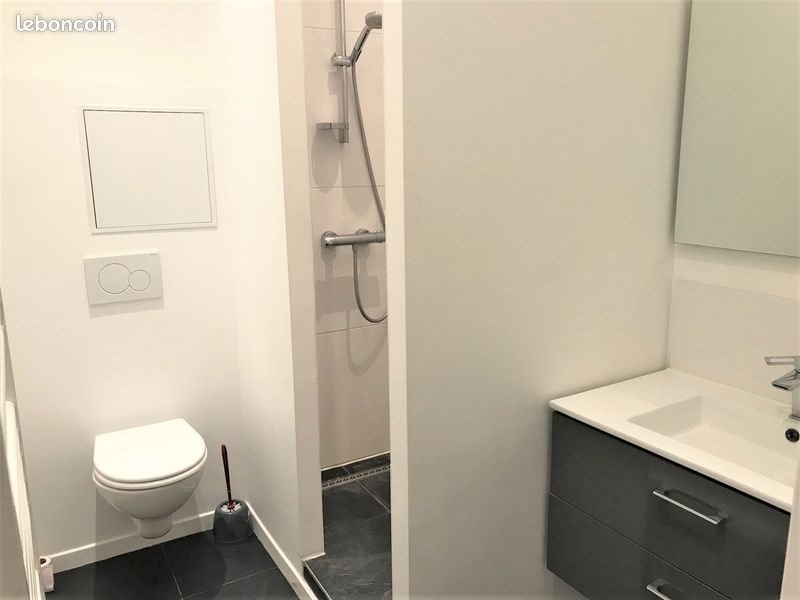 Appartement à louer, 15m², Lille