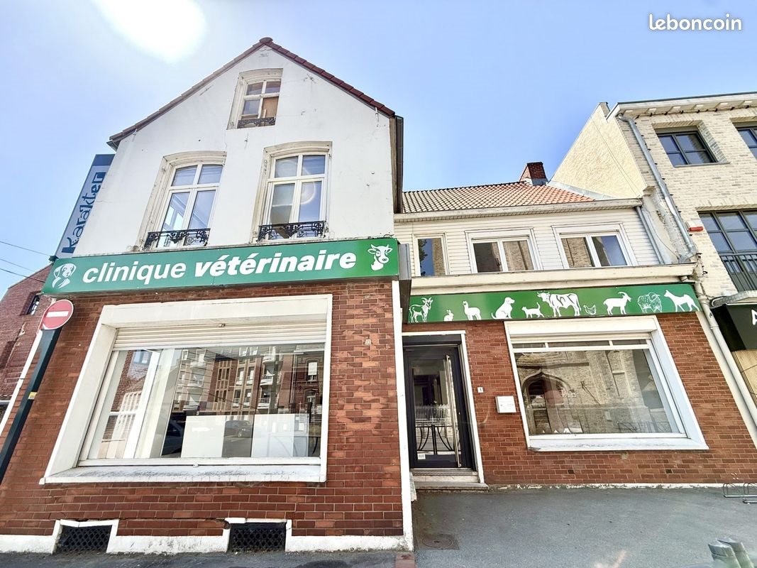 Appartement à vendre, 262m², Wormhout