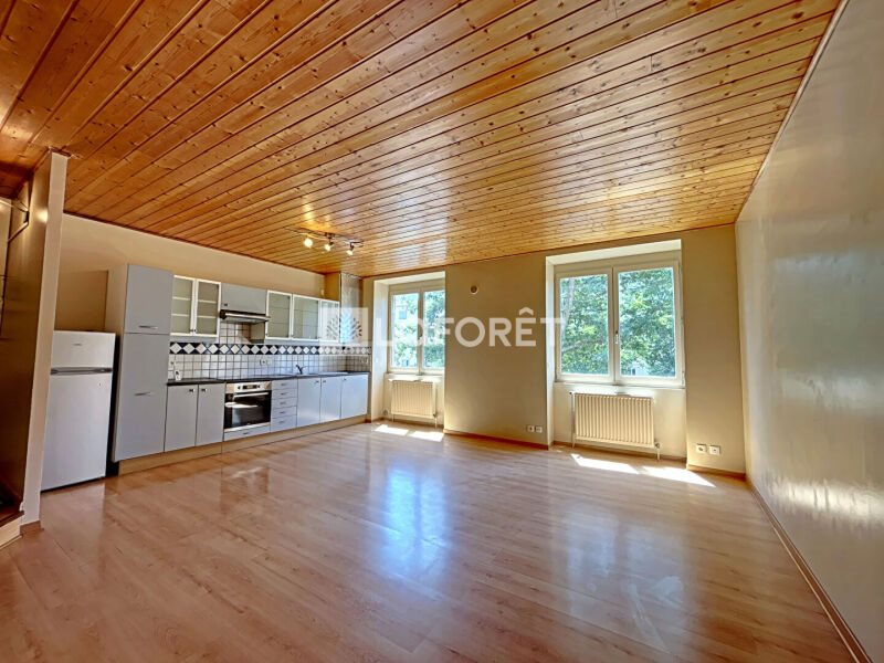Appartement à louer, 80m², Saint-Etienne