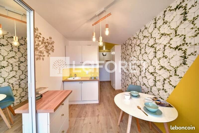 Appartement à louer, 20m², Saint-Étienne