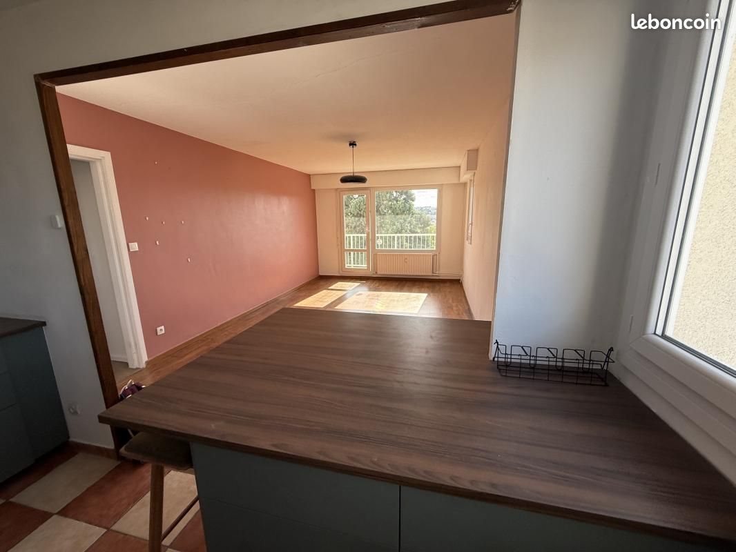 Appartement à louer, 55m², Saint-Étienne