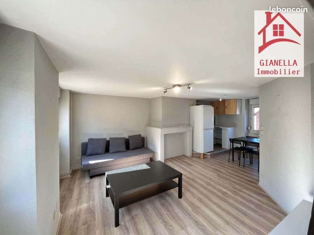 Appartement à louer, 54m², Saint-Etienne