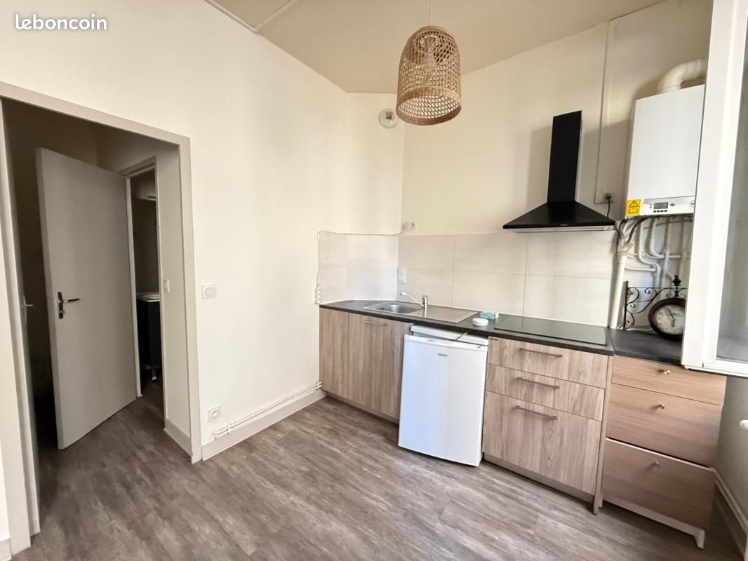 Appartement à louer, 21m², Saint-Etienne