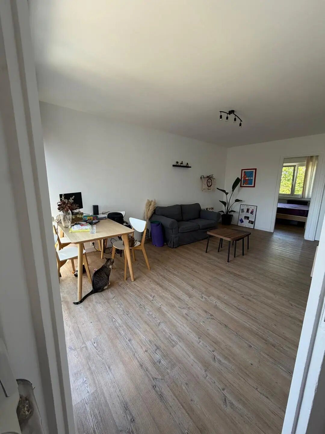 Appartement à louer, 54m², Marcq-en-Baroeul