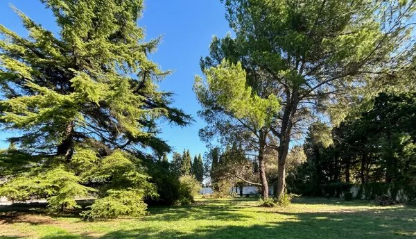 Maison à vendre, 513m², Avignon