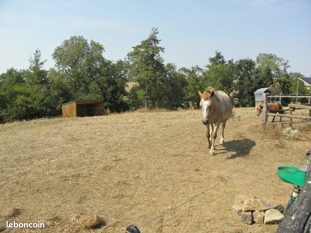 Maison à vendre, 169m², La Meilleraie-Tillay