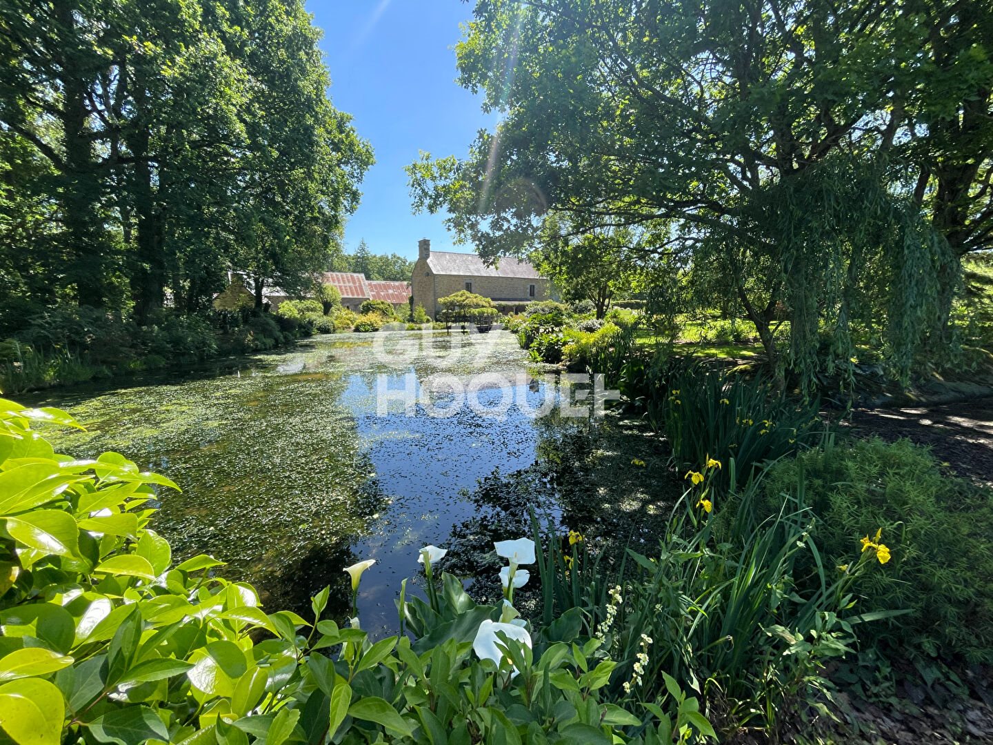 Maison à vendre, 342m², Trans-la-Forêt