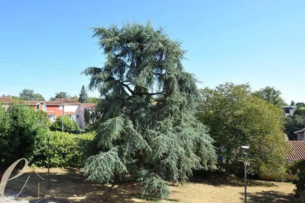 Appartement à louer, 77m², Craponne