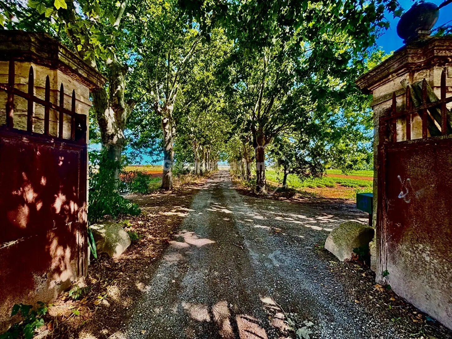 Maison à vendre, 285m², Mauguio
