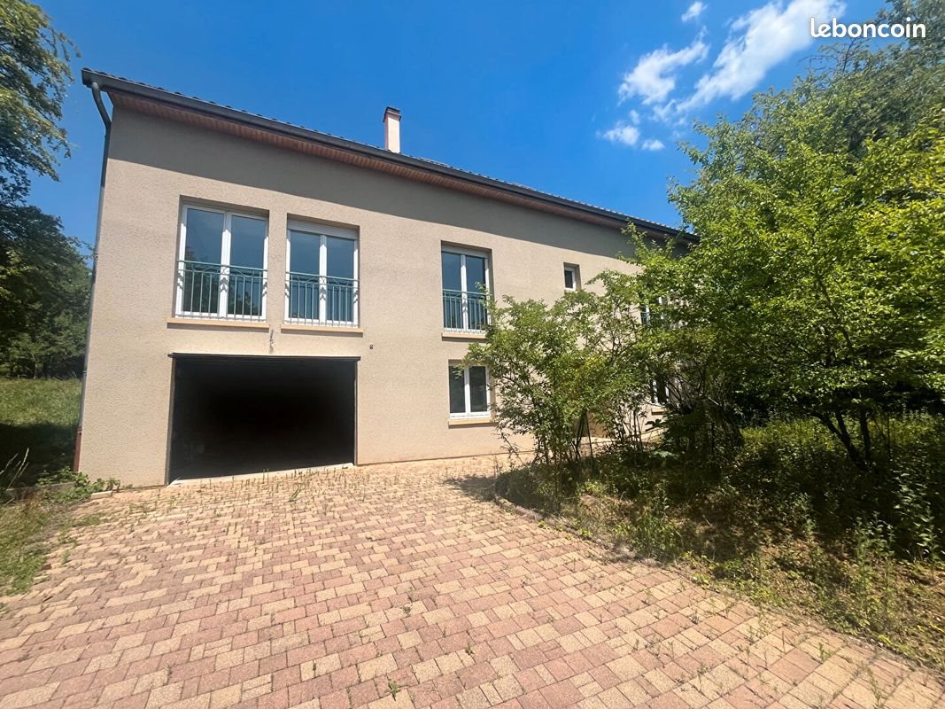 Maison à vendre, 333m², Scy-Chazelles
