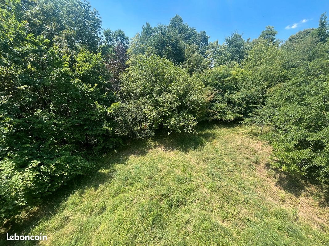 Maison à vendre, 333m², Scy-Chazelles