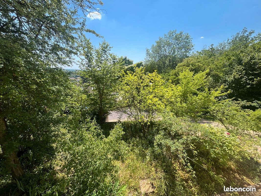 Maison à vendre, 333m², Scy-Chazelles