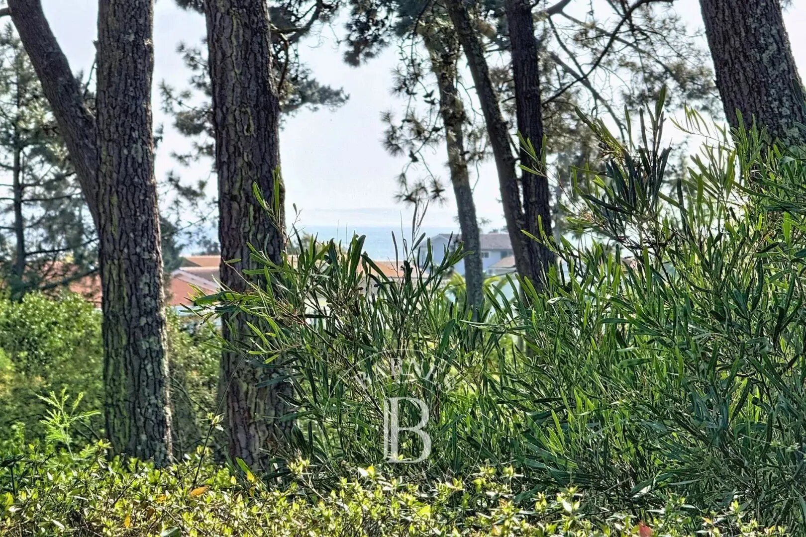 Maison à vendre, 116m², Lège-Cap-Ferret
