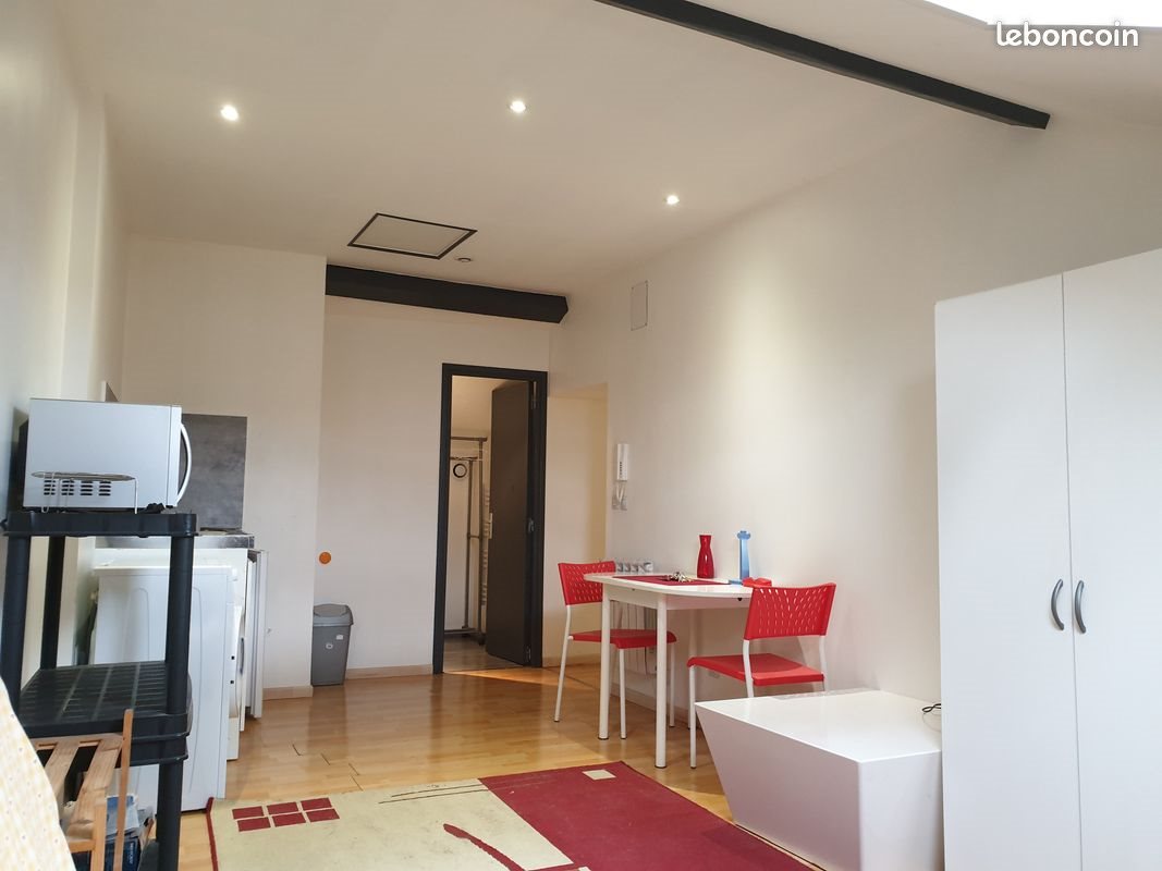 Appartement à louer, 20m², Roanne