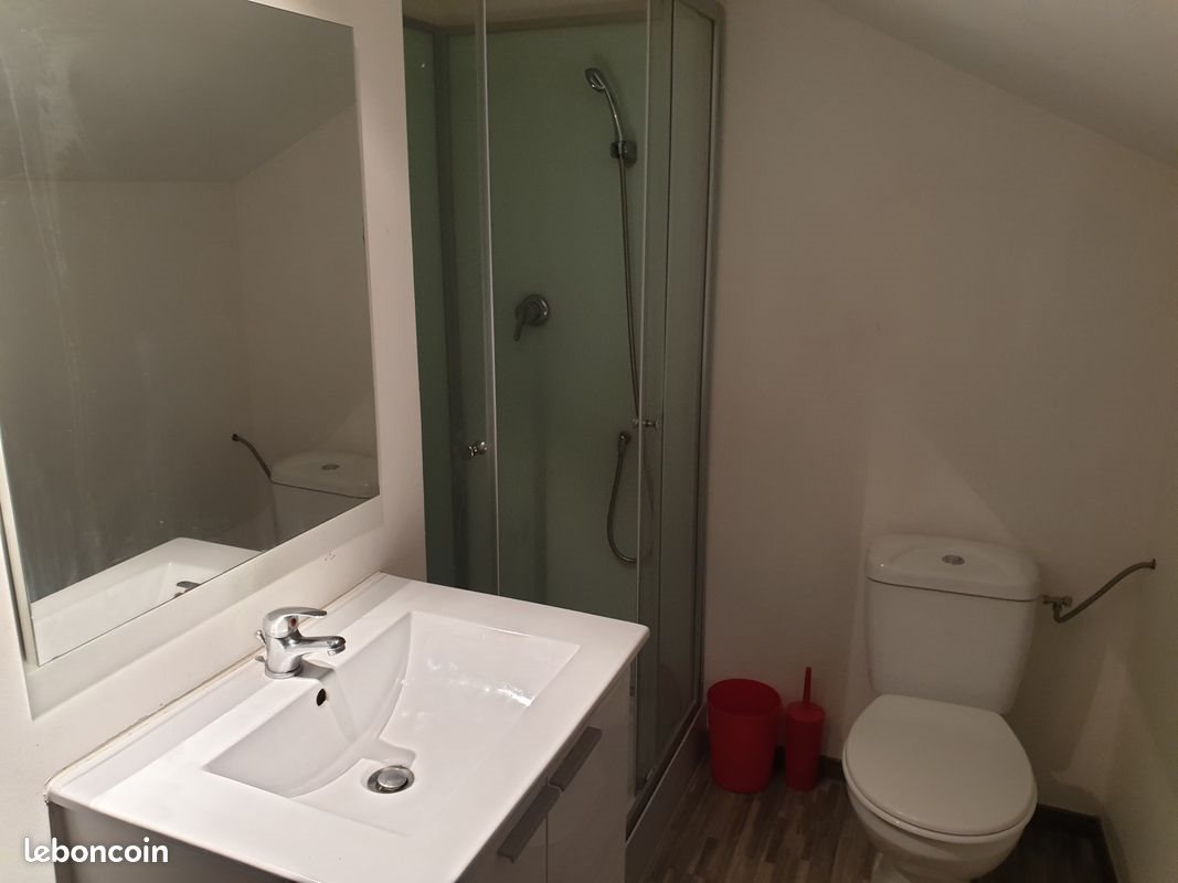 Appartement à louer, 20m², Roanne