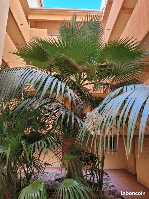 Appartement à vendre, 47m², Saint-Raphaël