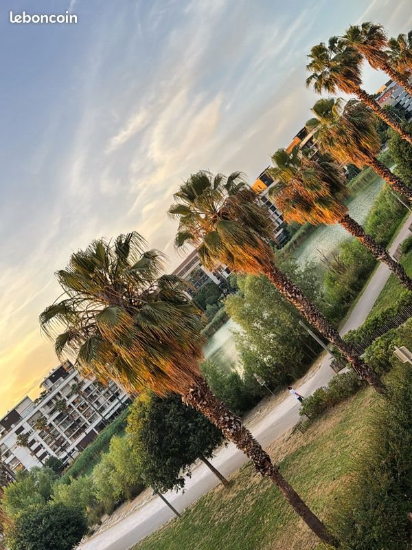 Appartement à louer, 46m², Montpellier