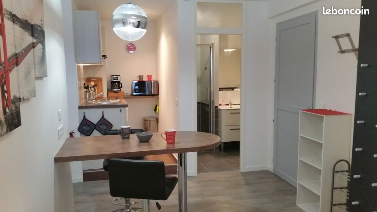 Appartement à louer, 23m², Evian-les-Bains