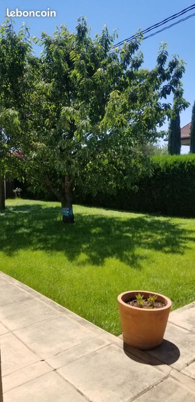Appartement à louer, 50m², Meyzieu