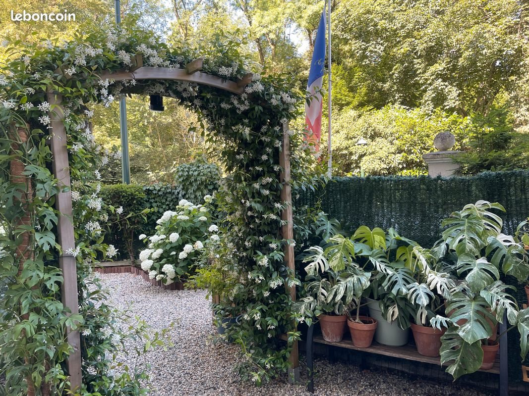 Appartement à louer, 55m², Le Plessis-Robinson