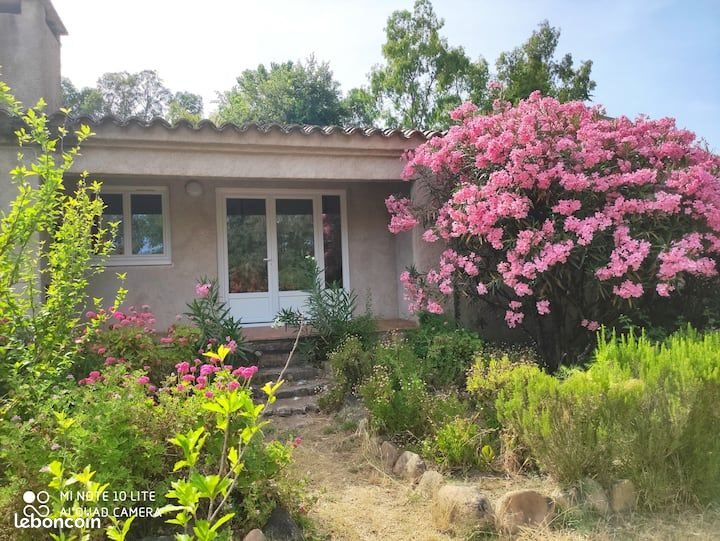 Maison à louer, 33m², Porto-Vecchio