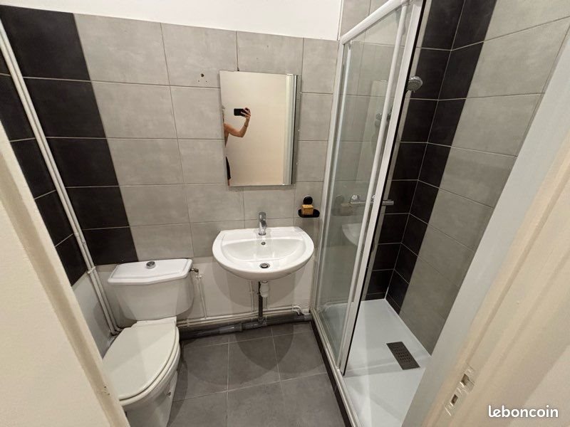 Appartement à louer, 37m², Saint-Etienne