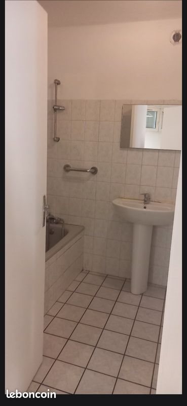 Appartement à louer, 53m², Saint-Etienne