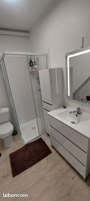 Appartement à louer, 50m², Blois