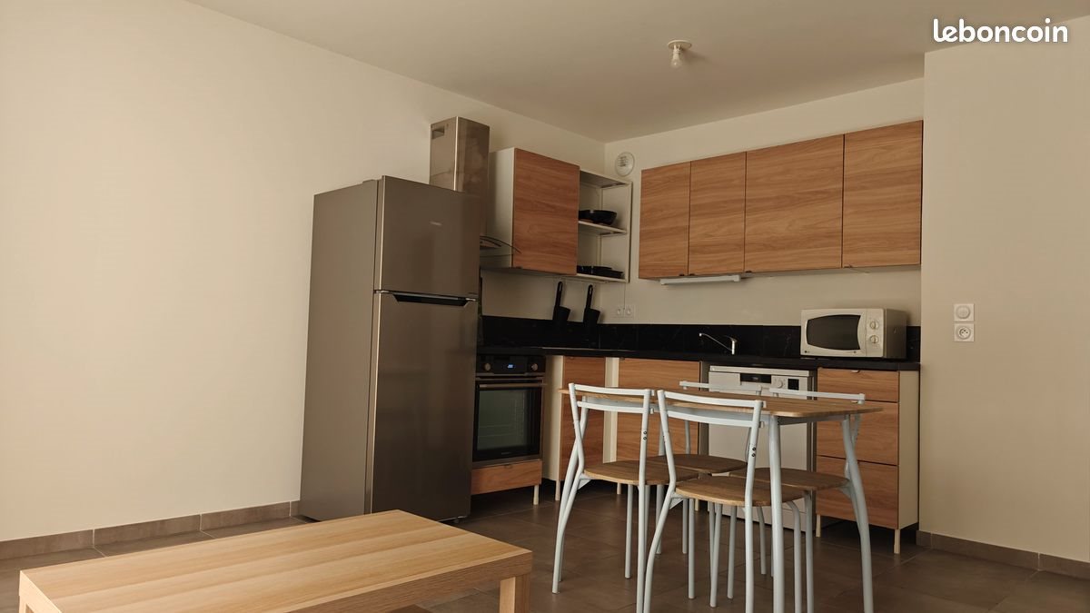 Appartement à louer, 43m², Villeurbanne
